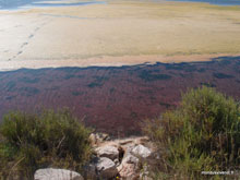 Lagune vers Frontignan