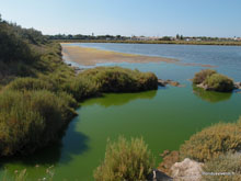 Laguen - Frontignan plage