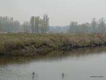 bord de Loire