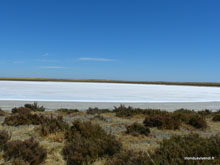 Lac de sel - Coorong NP - Australie